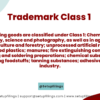 Trademark-class-1-02-Setupfilings